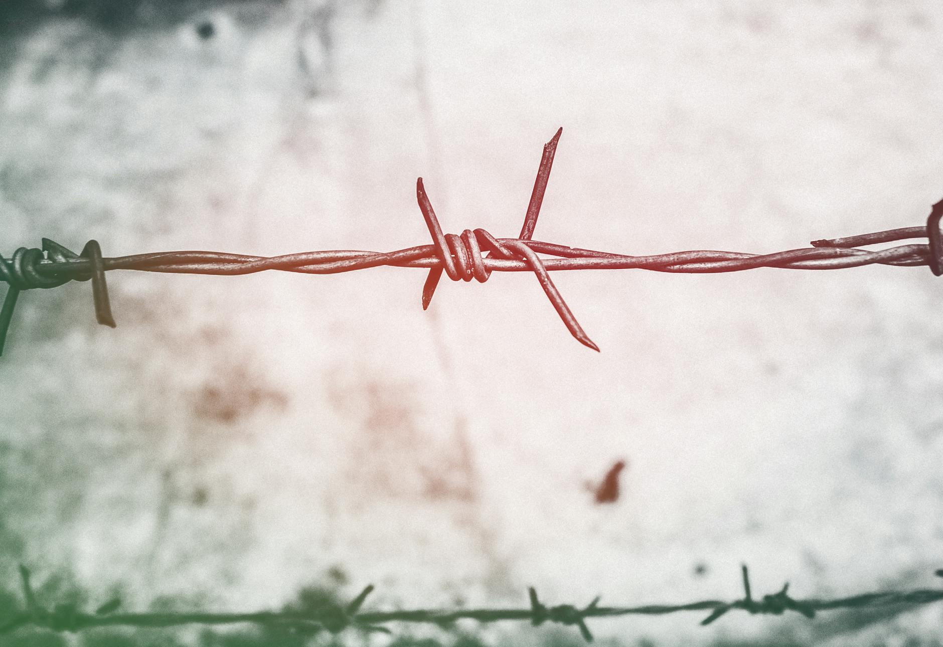 shallow focus photography of brown barbed wire